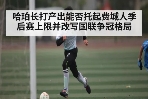 哈珀长打产出能否托起费城人季后赛上限并改写国联争冠格局