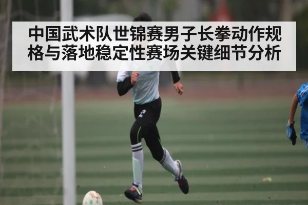中国武术队世锦赛男子长拳动作规格与落地稳定性赛场关键细节分析