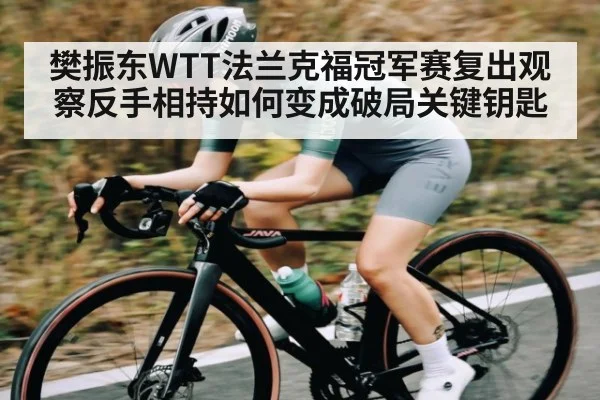 樊振东WTT法兰克福冠军赛复出观察反手相持如何变成破局关键钥匙